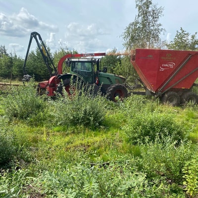 Tynding af skov og læhegn - professionel ydelse fra Højgaard Flis