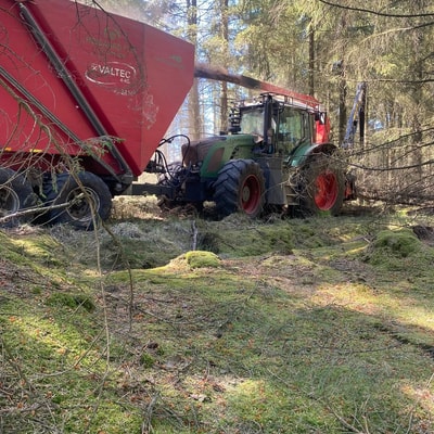 Traktor med flishugger blæser træflis op i rød vogn under skovarbejde