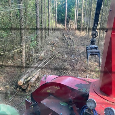 Udsigt fra kabinen på skovmaskine med gribeklo i nåleskov