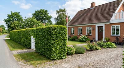 Hækklipning