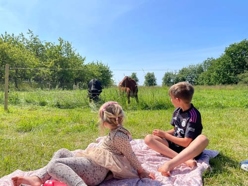 Autentisk foto fra Groglæde 7