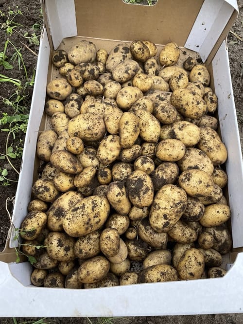 Autentisk foto fra Groglæde 10