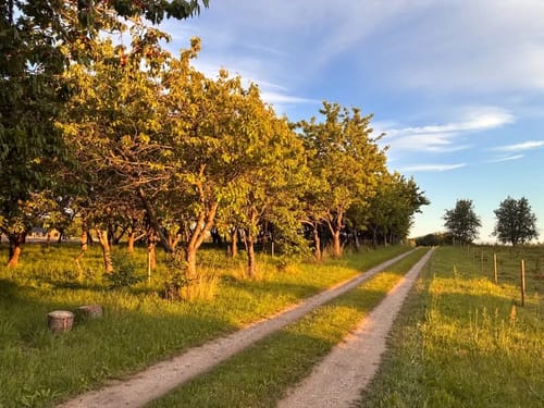 Autentisk foto fra Groglæde 4
