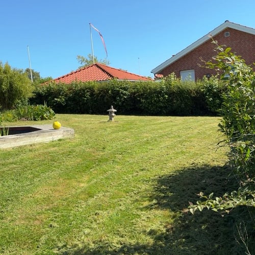 Græsslåning og plænepleje