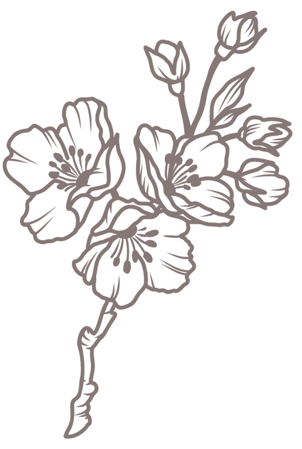 Kirsebærgren illustration