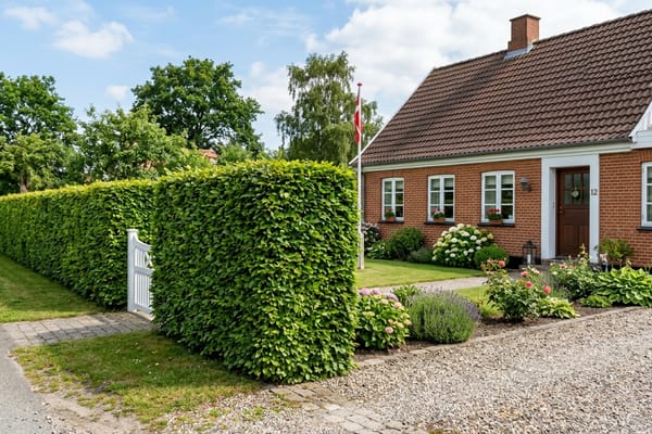 Hækklipning