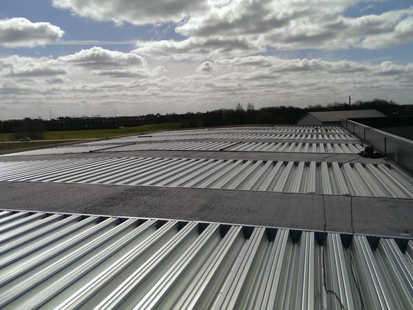 Tts sag - Ribe