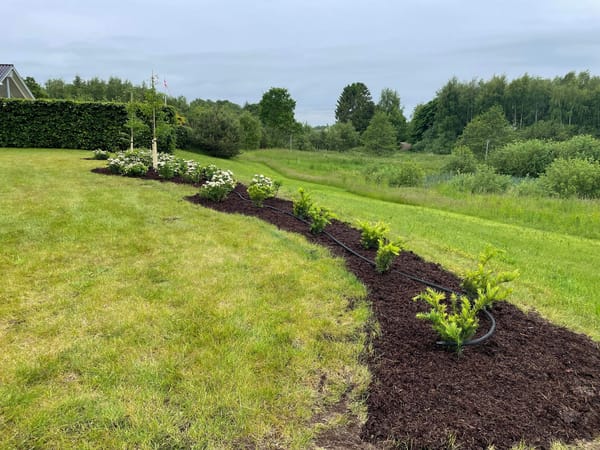 Blomster bed i Hadsund