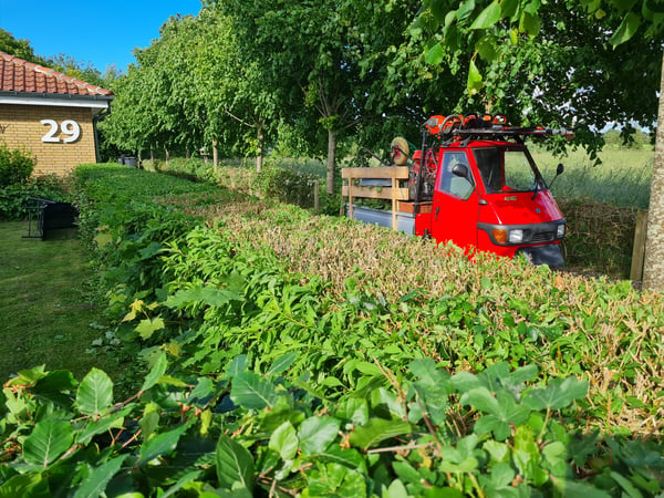 Havearbejde og beplantning