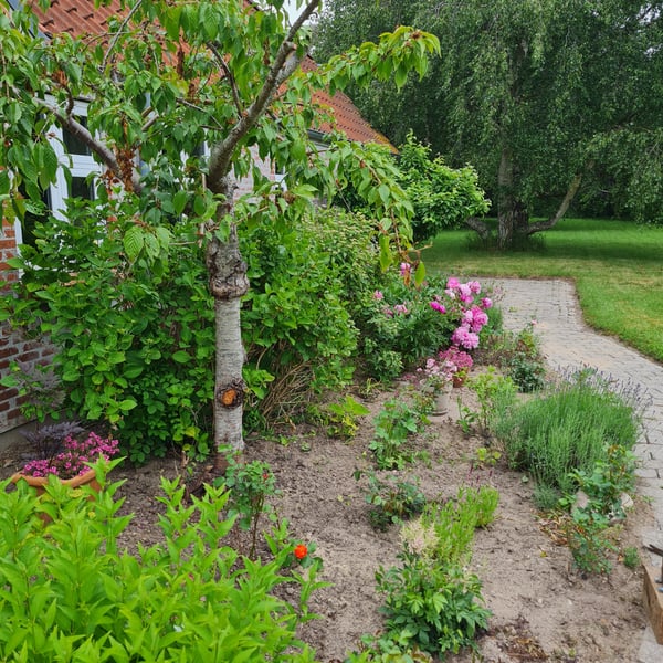 Havearbejde og vedligeholdelse