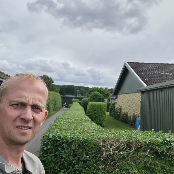 Frank – hækklipning