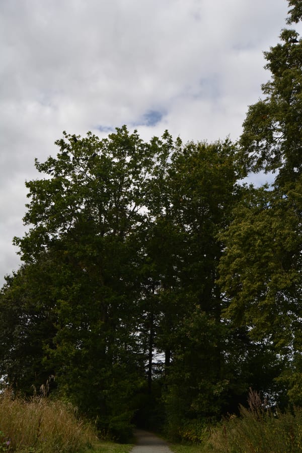 Naturstien