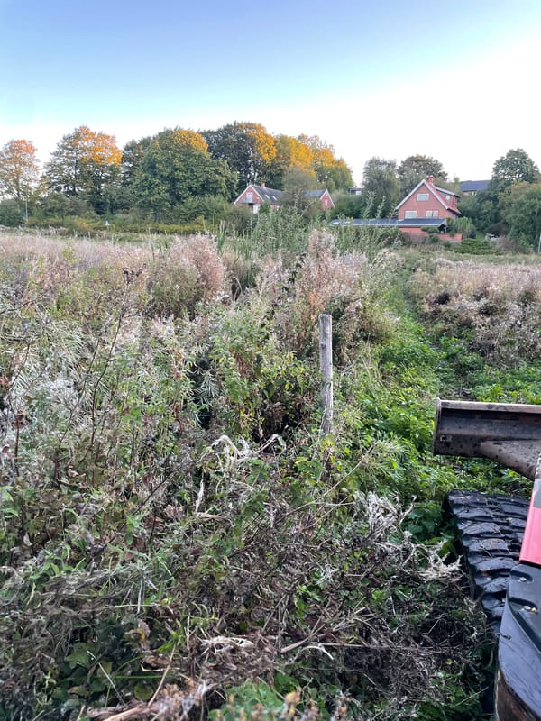 opgravning af en bæk1