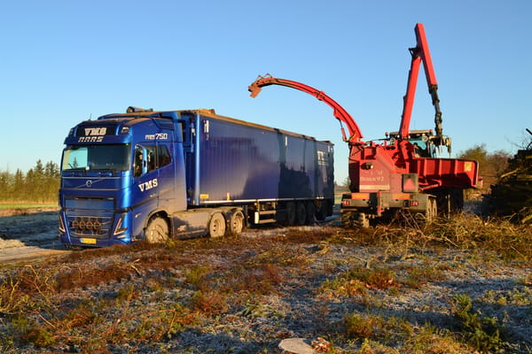 Vesthimmerlands Maskinskovning lastbil i skoven