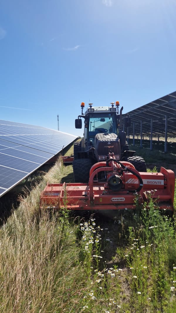 Naturpleje - Billede 8