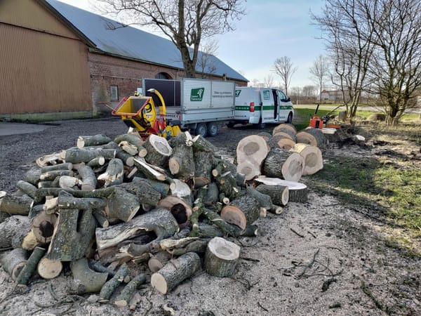 Caspers Træservice opgave 10