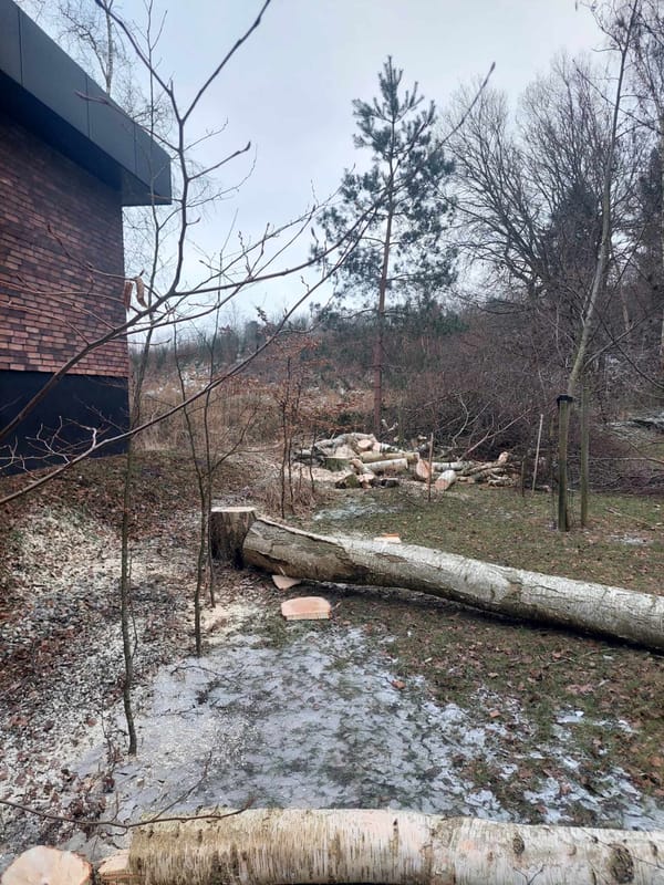 Caspers Træservice opgave 5
