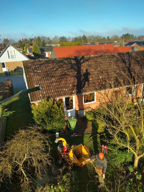 Caspers Træservice opgave 9