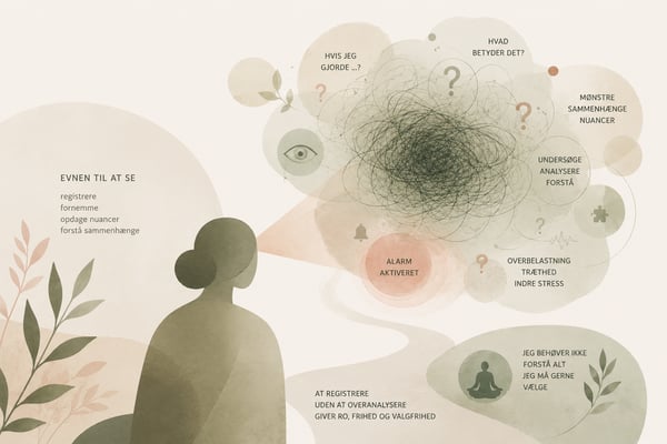 Ressourcen og den neuroaffektive bagside.