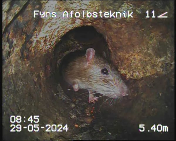 Kloak TV Inspektion foto 8