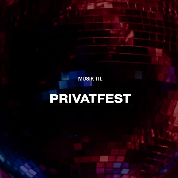 DJ til Privatfest