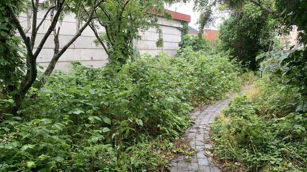 Komplet haverydning for privat kunde