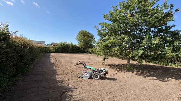 Klargøring af grund efter rydning