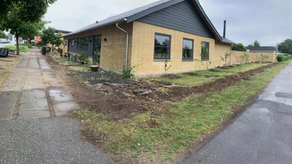Opgravning af gamle rødder og rydning