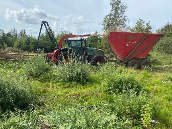 Tynding af skov og læhegn - maskiner og arbejde fra Højgaard Flis