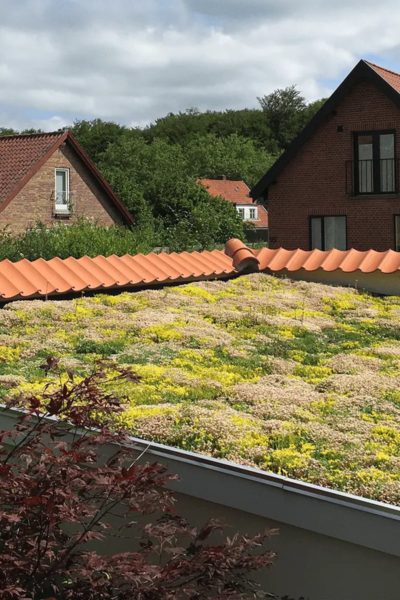 Tagdækning med shingles