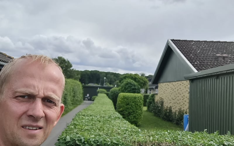 Nyklippet hæk