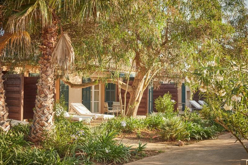 Zoetry Mallorca Wellness & Spa - Billede 35