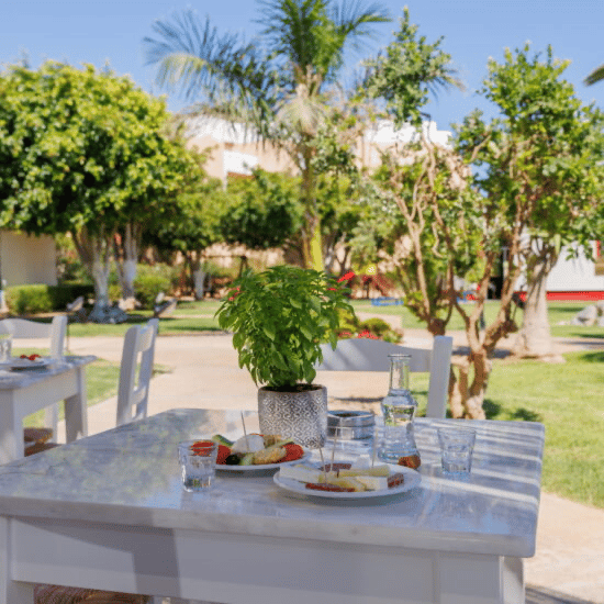 Anissa Beach & Village - Billede 17