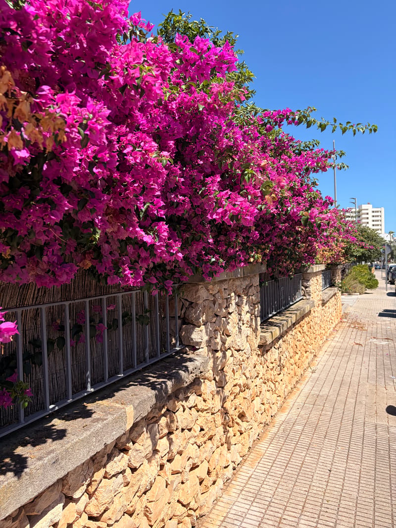Hipotels Bahia Grande Aparthotel - Billede 12