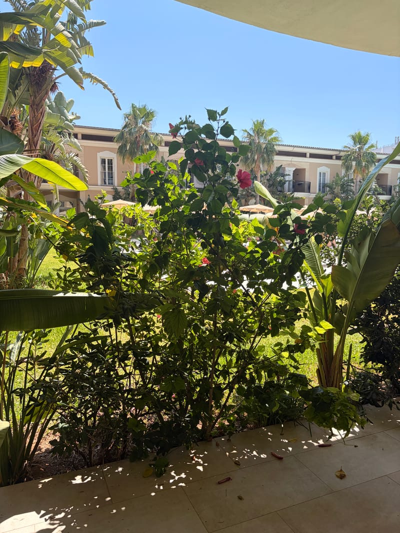 Grupotel Playa de Palma Suites & Spa - Billede 18