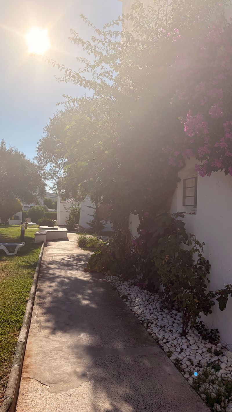 Aparthotel Flora - Billede 36
