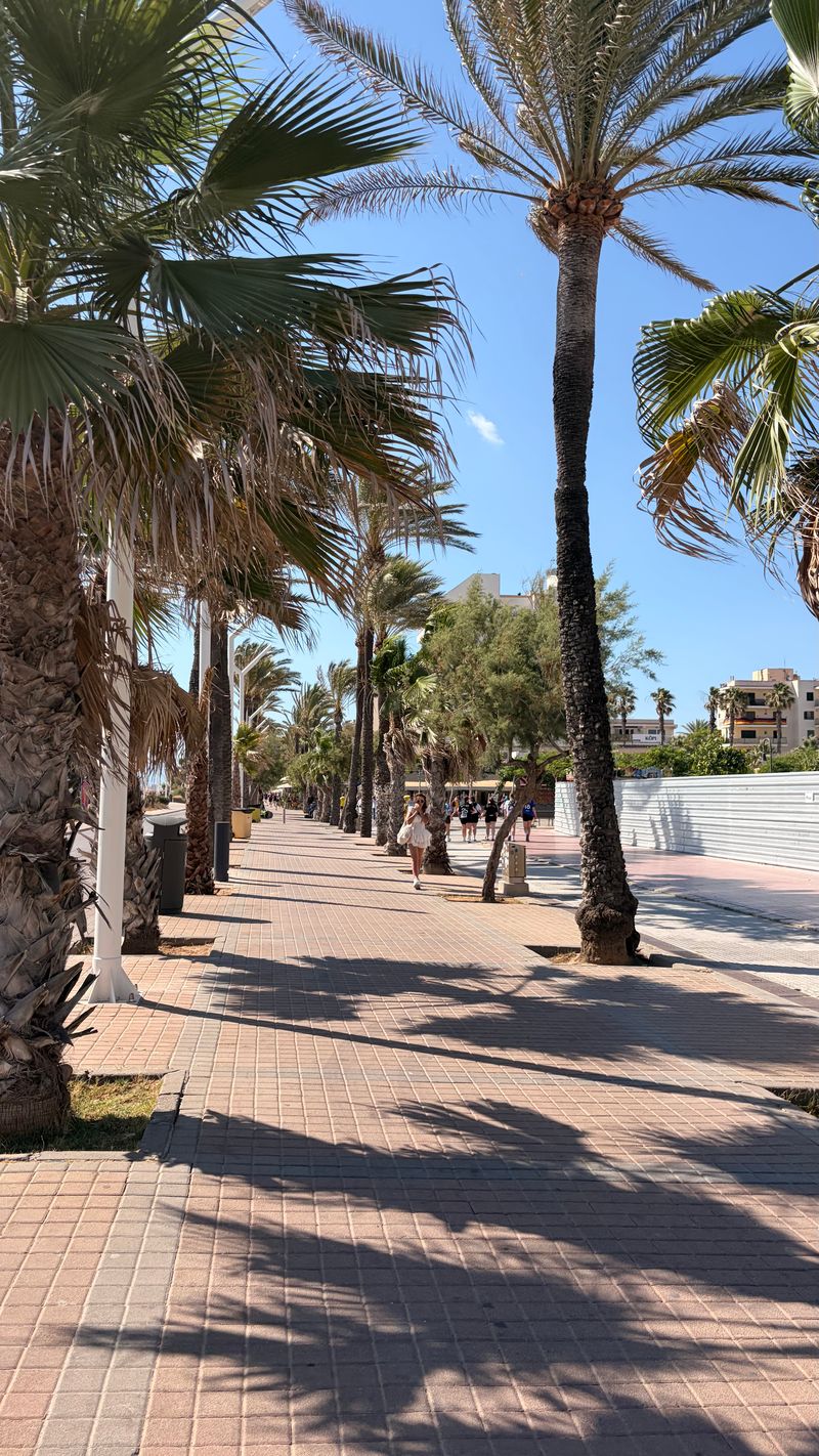 Grupotel Playa de Palma Suites & Spa - Billede 32