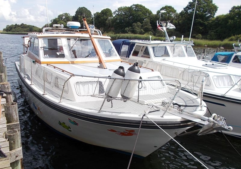 Jupiter 33