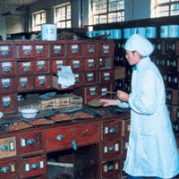 Kinesisk urtemedicin 2