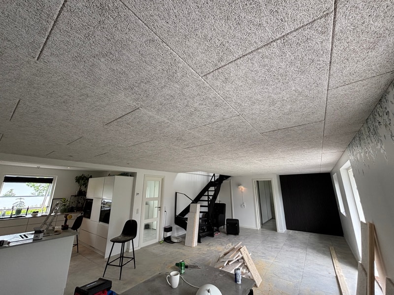 Troldtektloft